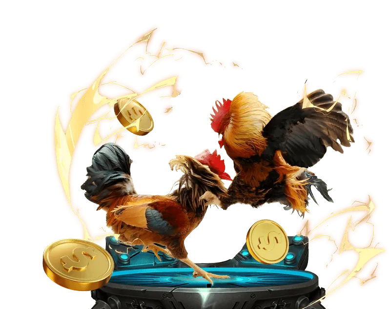 Cá cược bóng đá Sunwin